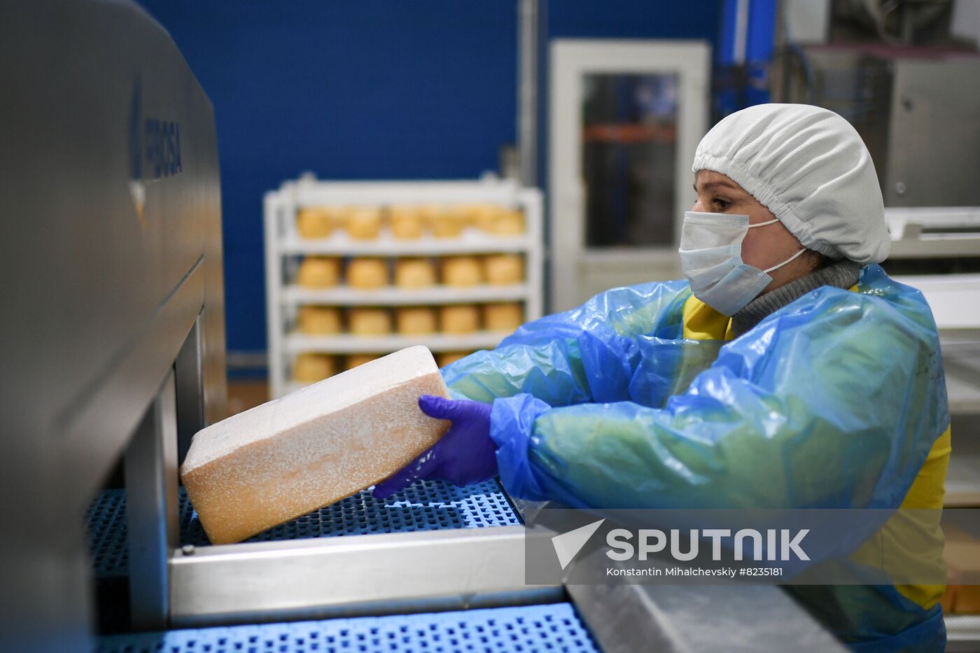 Russia Dairy Industry