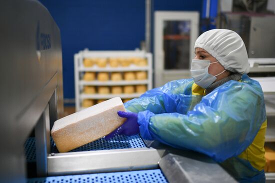 Russia Dairy Industry