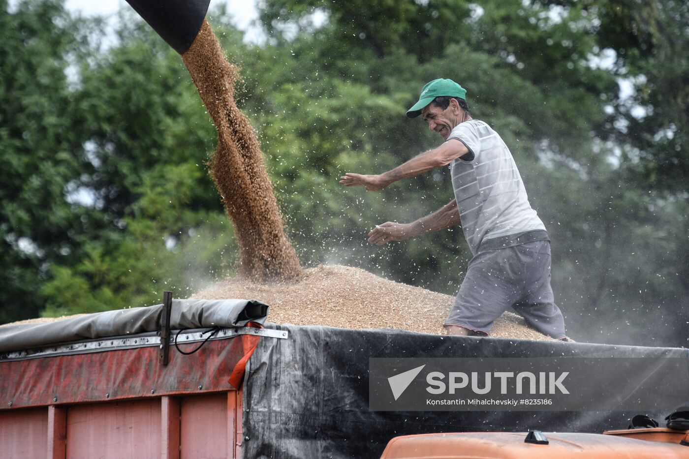 Russia Crimea Agriculture Wheat Harvesting