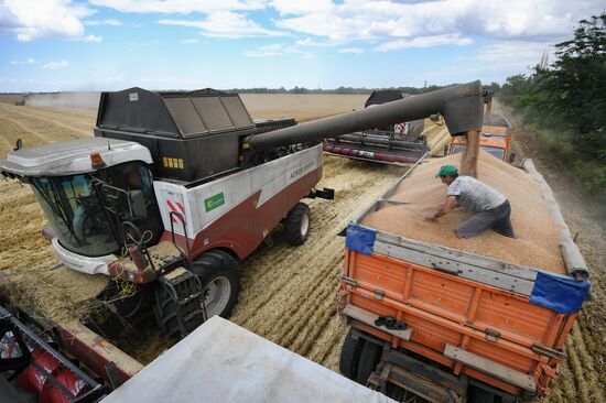 Russia Crimea Agriculture Wheat Harvesting