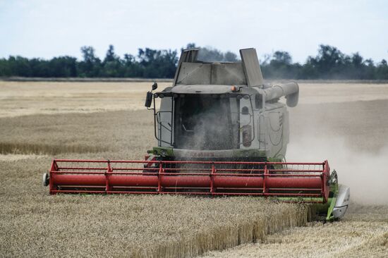 Russia Crimea Agriculture Wheat Harvesting