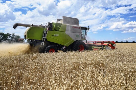 Russia Crimea Agriculture Wheat Harvesting