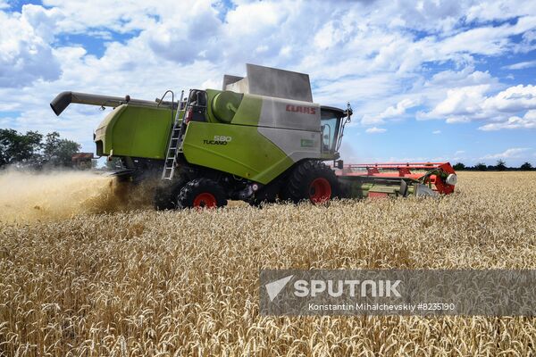 Russia Crimea Agriculture Wheat Harvesting