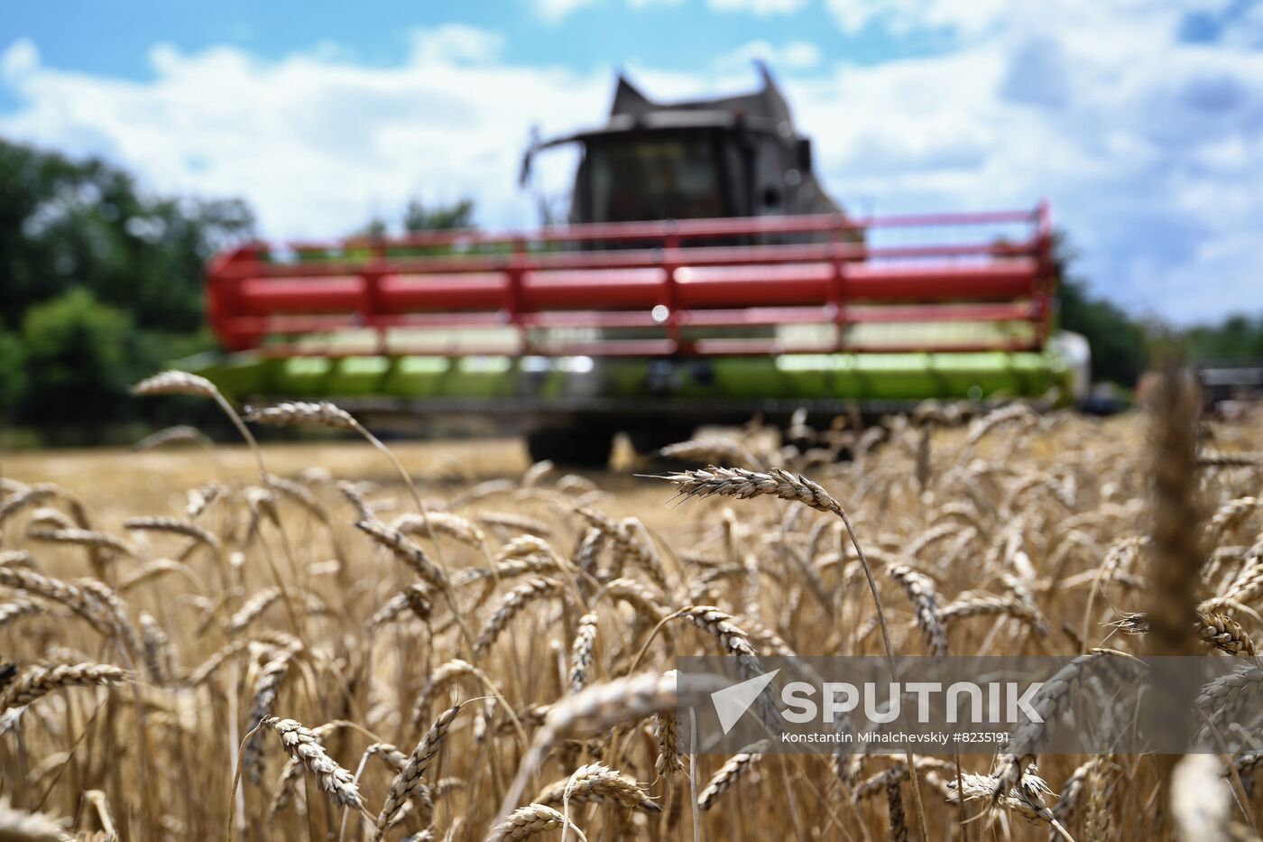 Russia Crimea Agriculture Wheat Harvesting