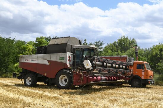 Russia Crimea Agriculture Wheat Harvesting