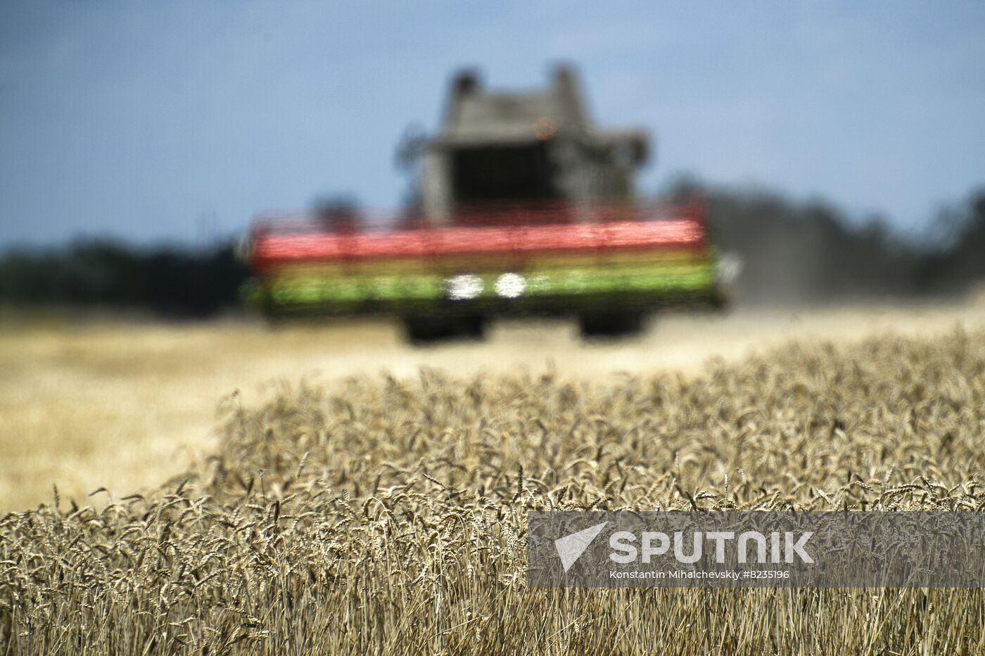 Russia Crimea Agriculture Wheat Harvesting