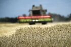 Russia Crimea Agriculture Wheat Harvesting