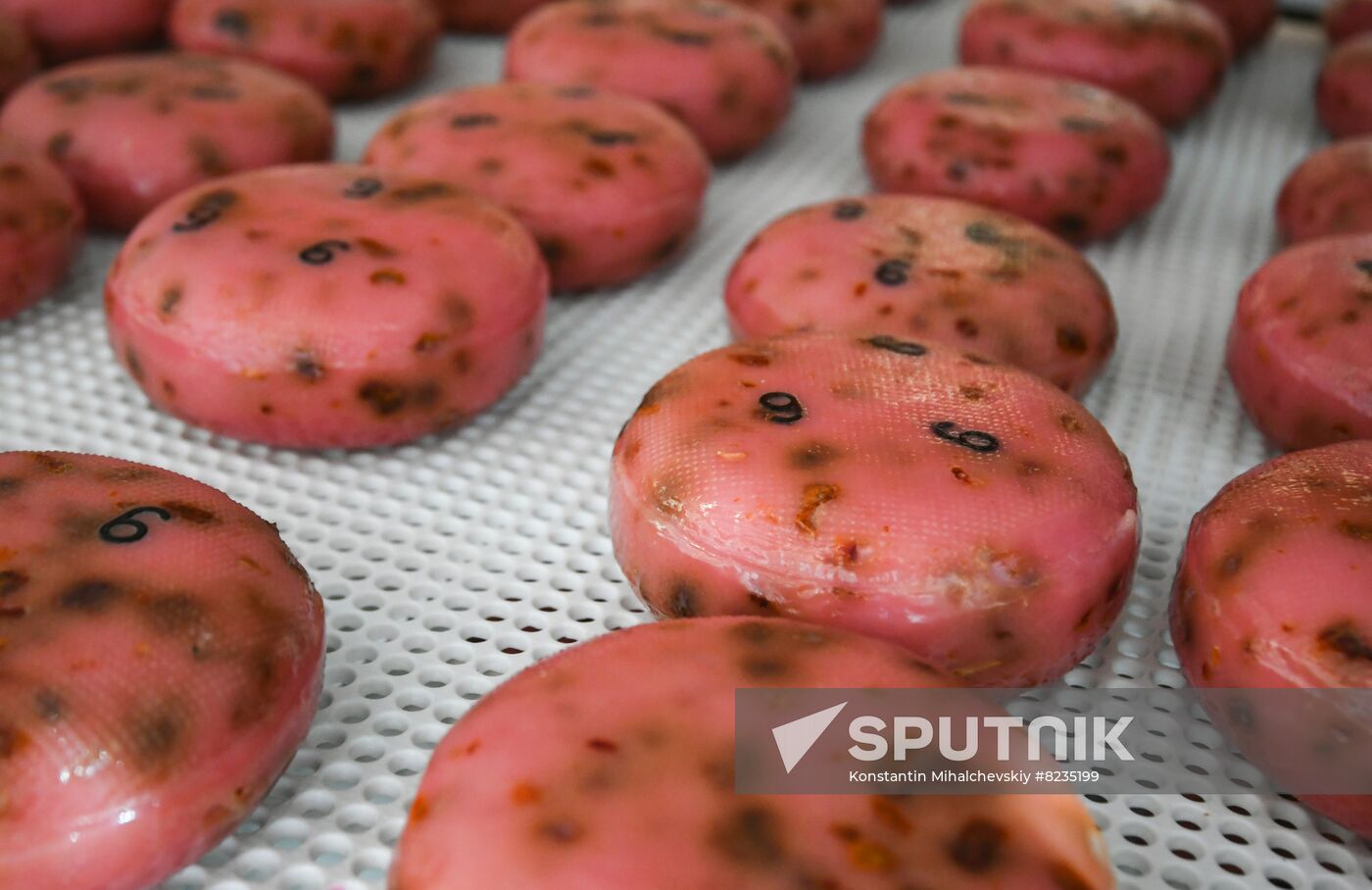 Russia Dairy Industry