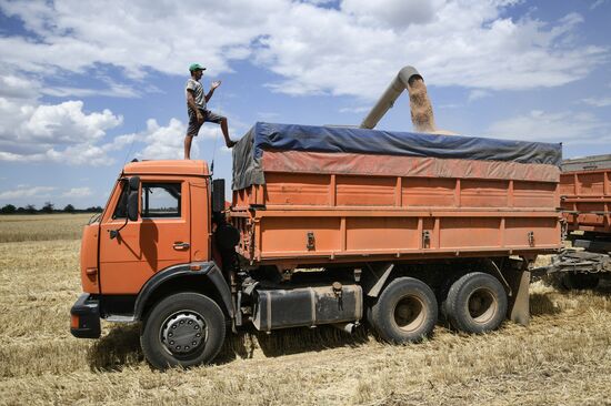 Russia Crimea Agriculture Wheat Harvesting