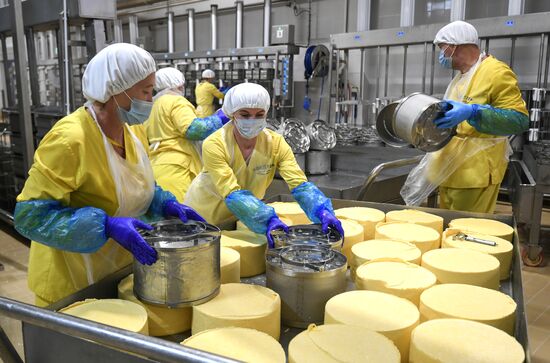 Russia Dairy Industry