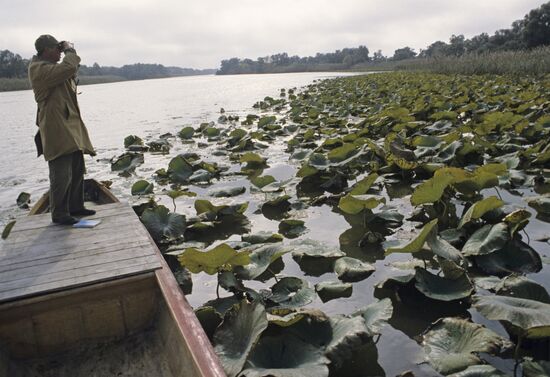 Astrakhan State Nature Biosphere Reserve