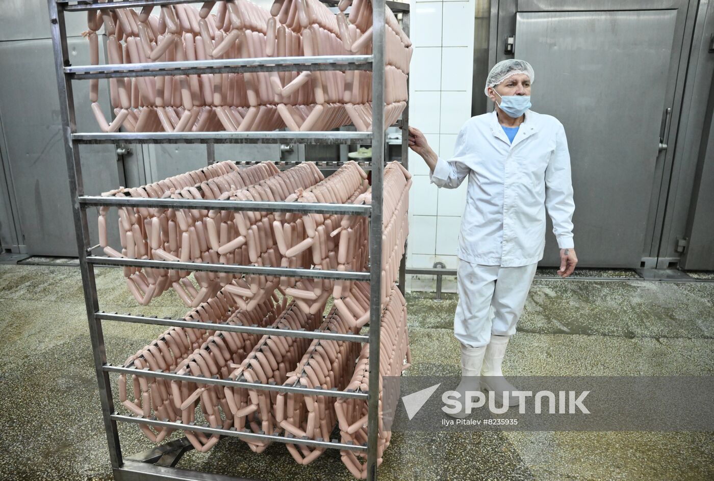 Russia Food Industry