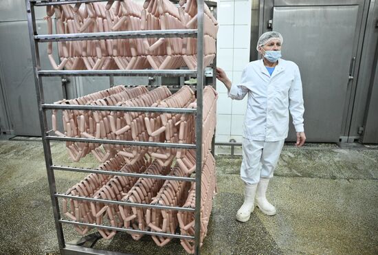 Russia Food Industry