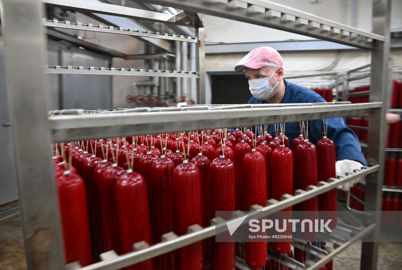 Russia Food Industry