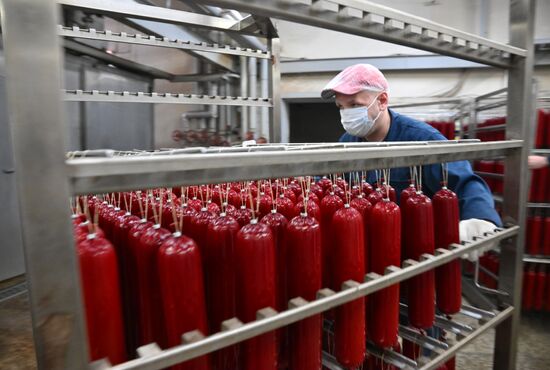 Russia Food Industry