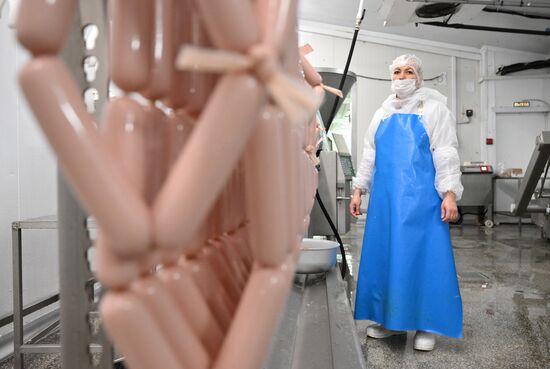 Russia Food Industry