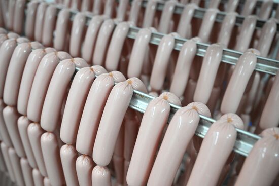 Russia Food Industry