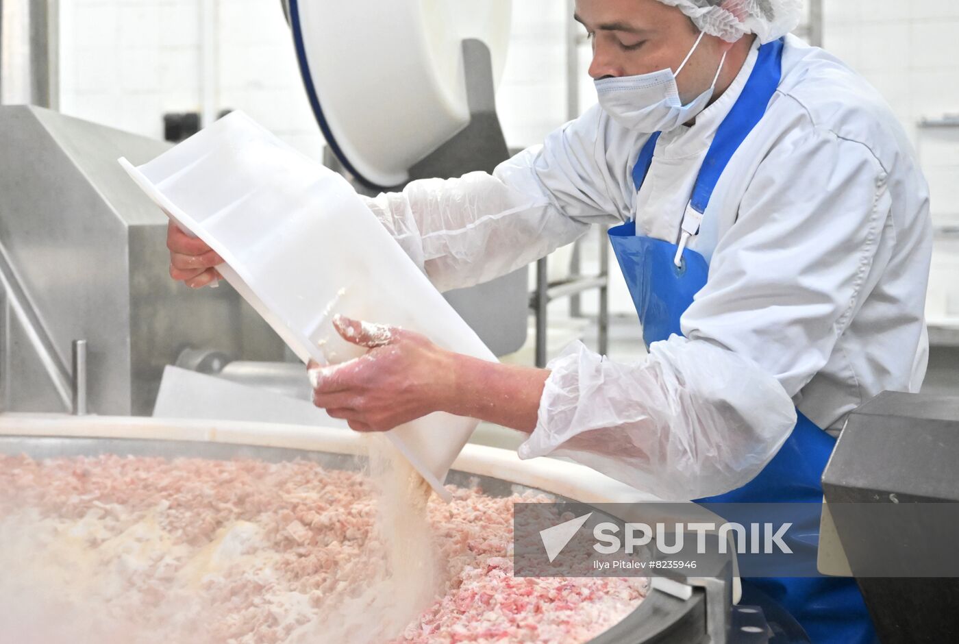 Russia Food Industry