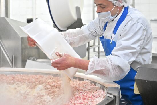 Russia Food Industry