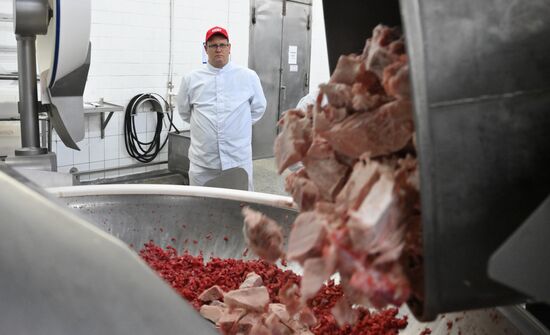Russia Food Industry