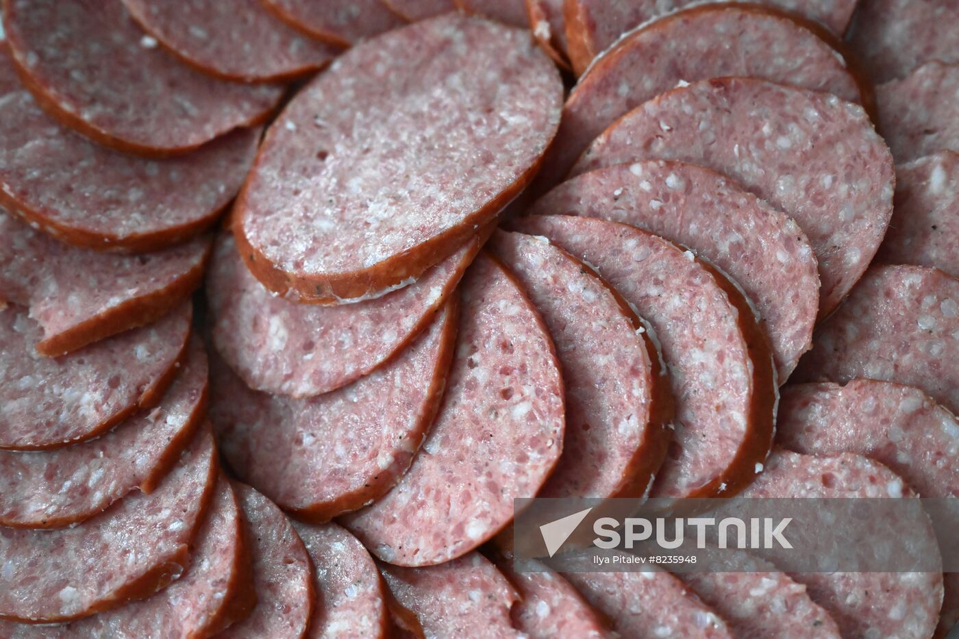 Russia Food Industry