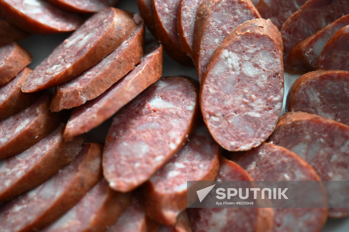 Russia Food Industry