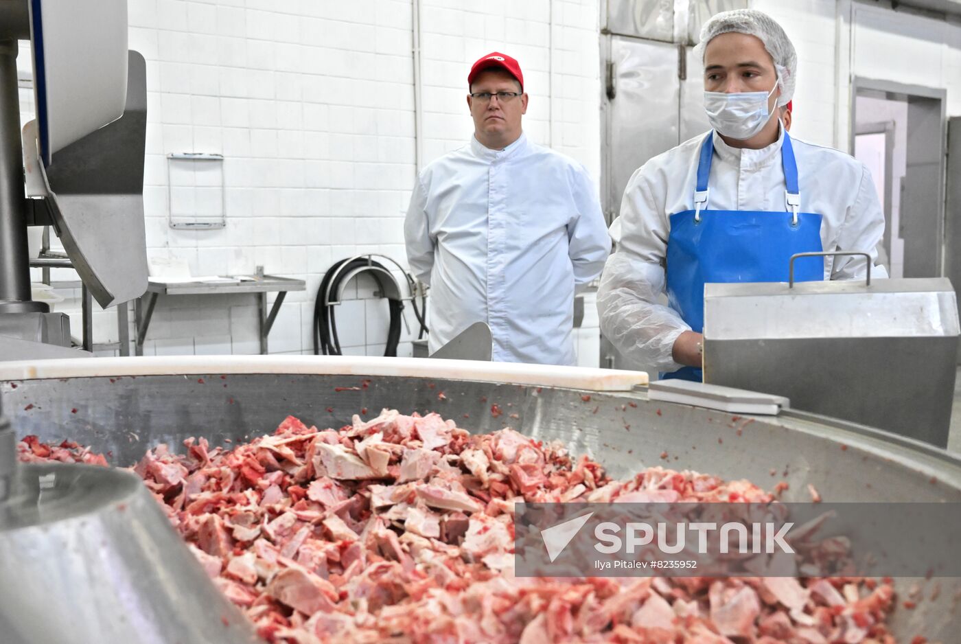 Russia Food Industry