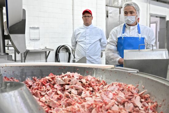 Russia Food Industry