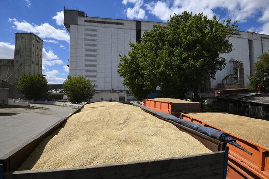 Ukraine Agriculture Grain Elevator