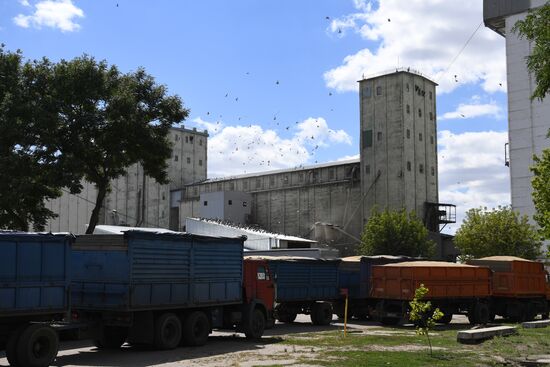 Ukraine Agriculture Grain Elevator