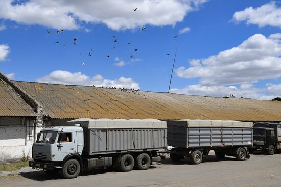 Ukraine Agriculture Grain Elevator