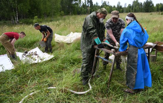 Russia WWII Mass Grave