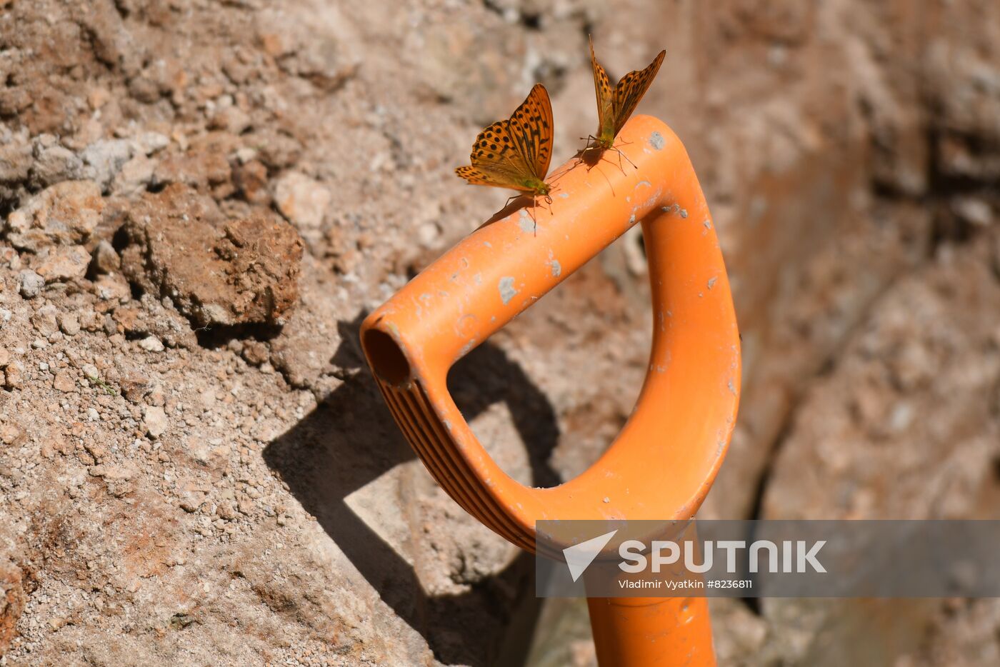 Russia WWII Mass Grave