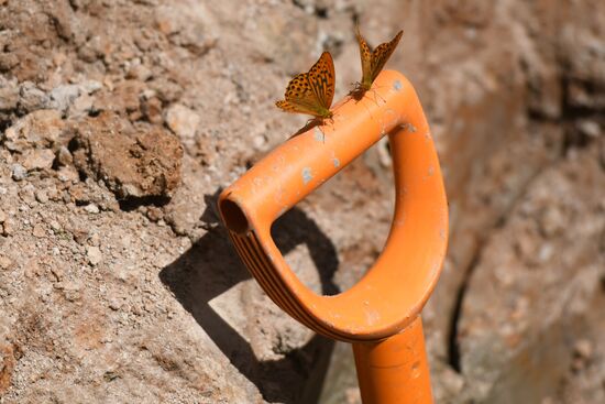 Russia WWII Mass Grave