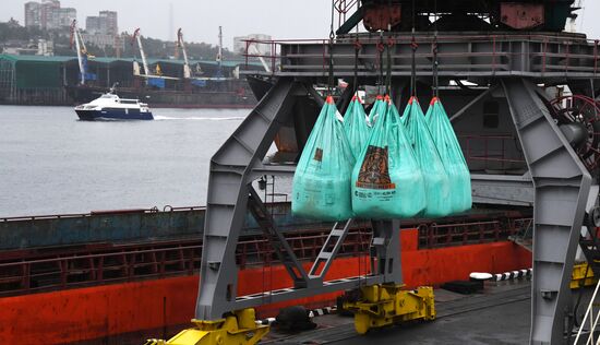 Russia Construction Materials