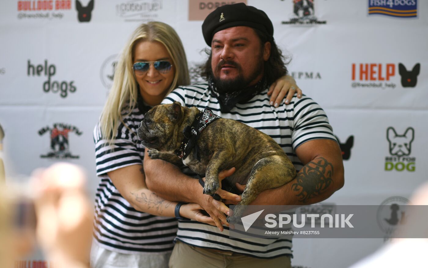Russia French Bulldogs Parade