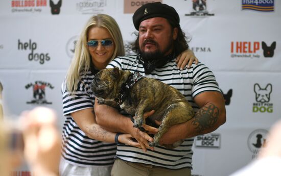 Russia French Bulldogs Parade
