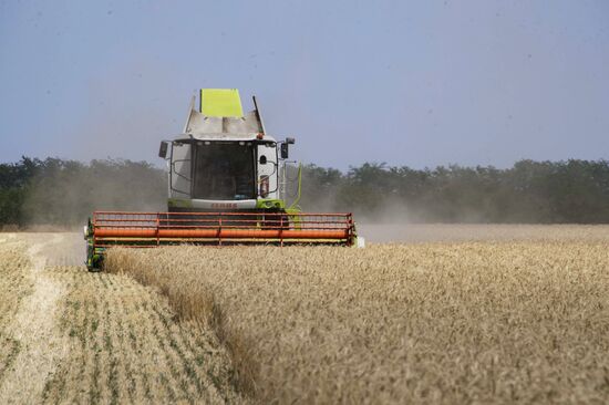 Ukraine Agriculture Wheat Harvesting