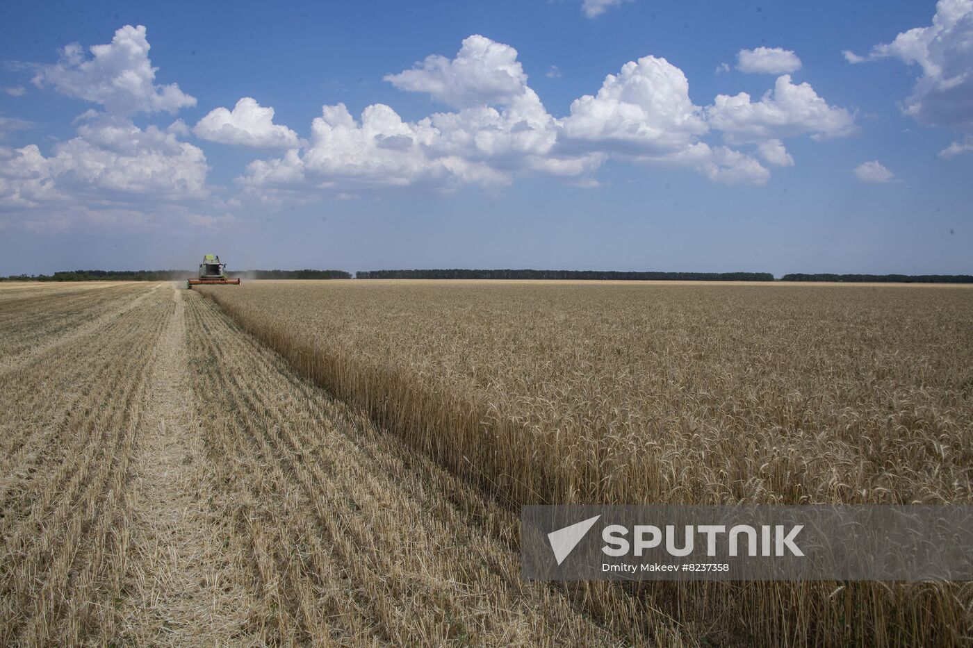 Ukraine Agriculture Wheat Harvesting