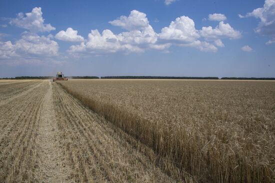 Ukraine Agriculture Wheat Harvesting
