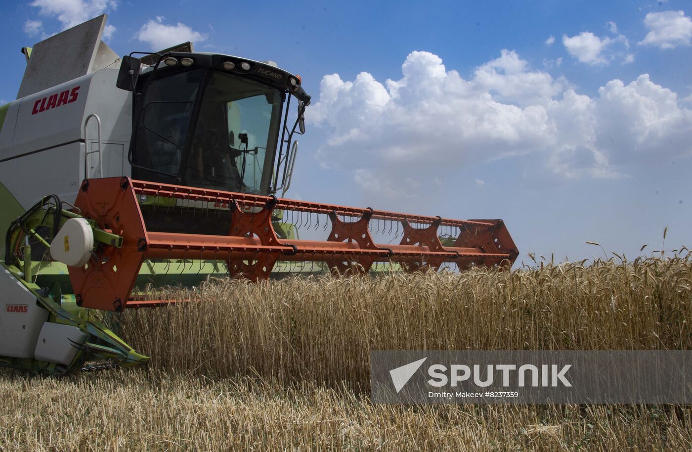 Ukraine Agriculture Wheat Harvesting