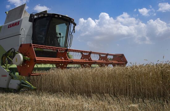 Ukraine Agriculture Wheat Harvesting