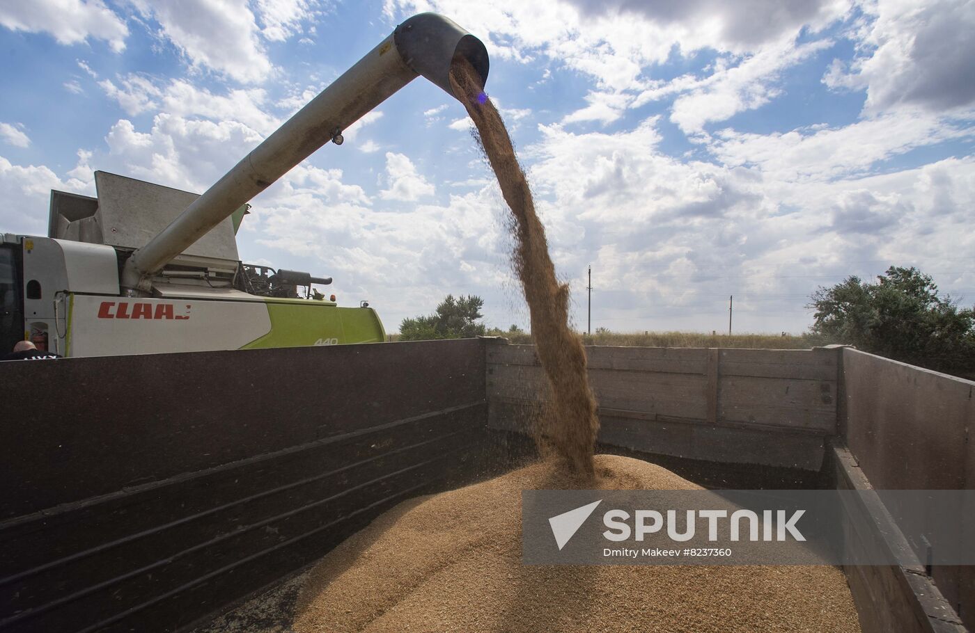 Ukraine Agriculture Wheat Harvesting