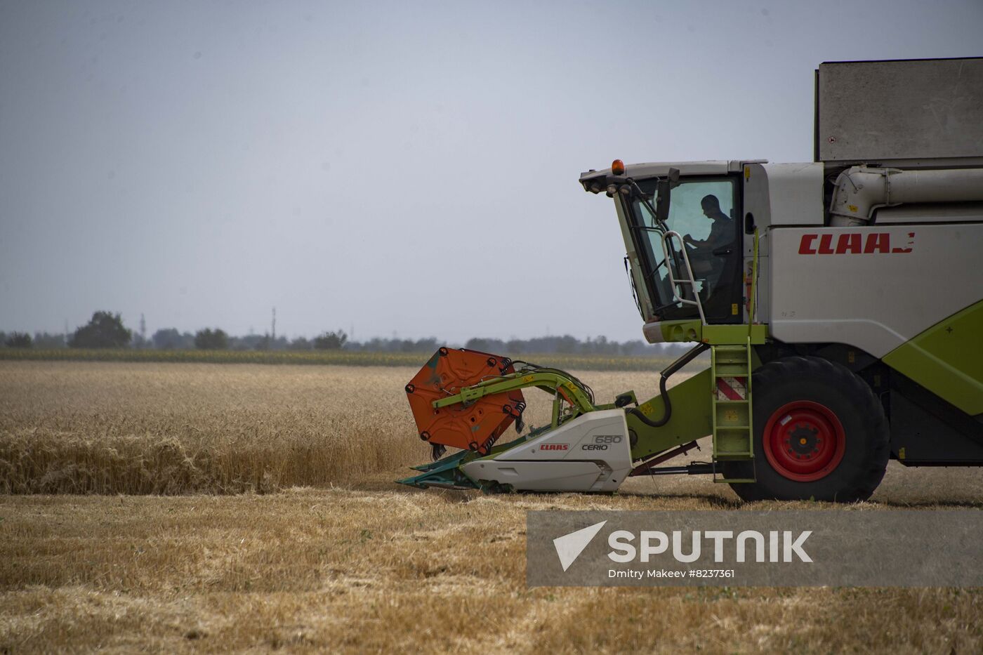 Ukraine Agriculture Wheat Harvesting