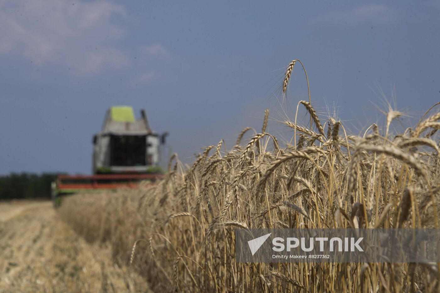 Ukraine Agriculture Wheat Harvesting