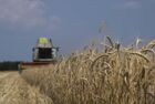 Ukraine Agriculture Wheat Harvesting