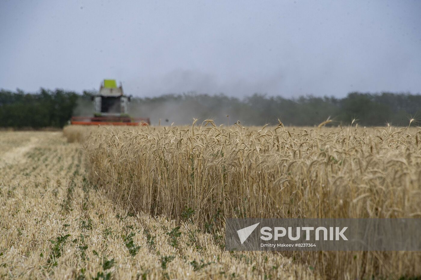 Ukraine Agriculture Wheat Harvesting