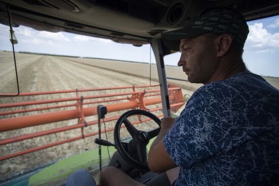 Ukraine Agriculture Wheat Harvesting