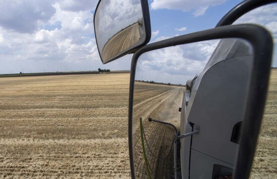 Ukraine Agriculture Wheat Harvesting