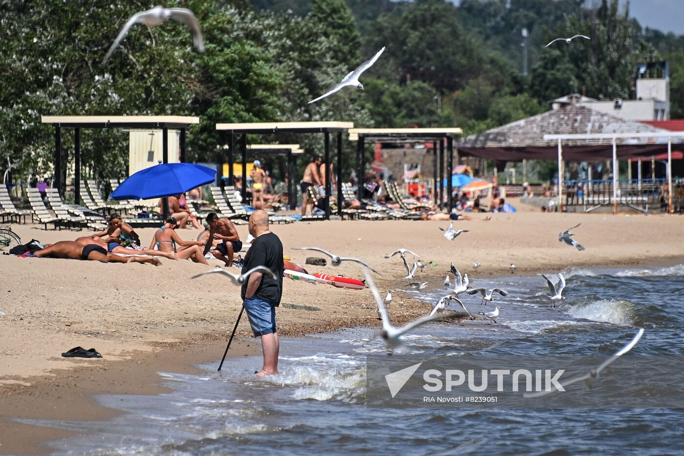 DPR Russia Ukraine Military Operation Daily